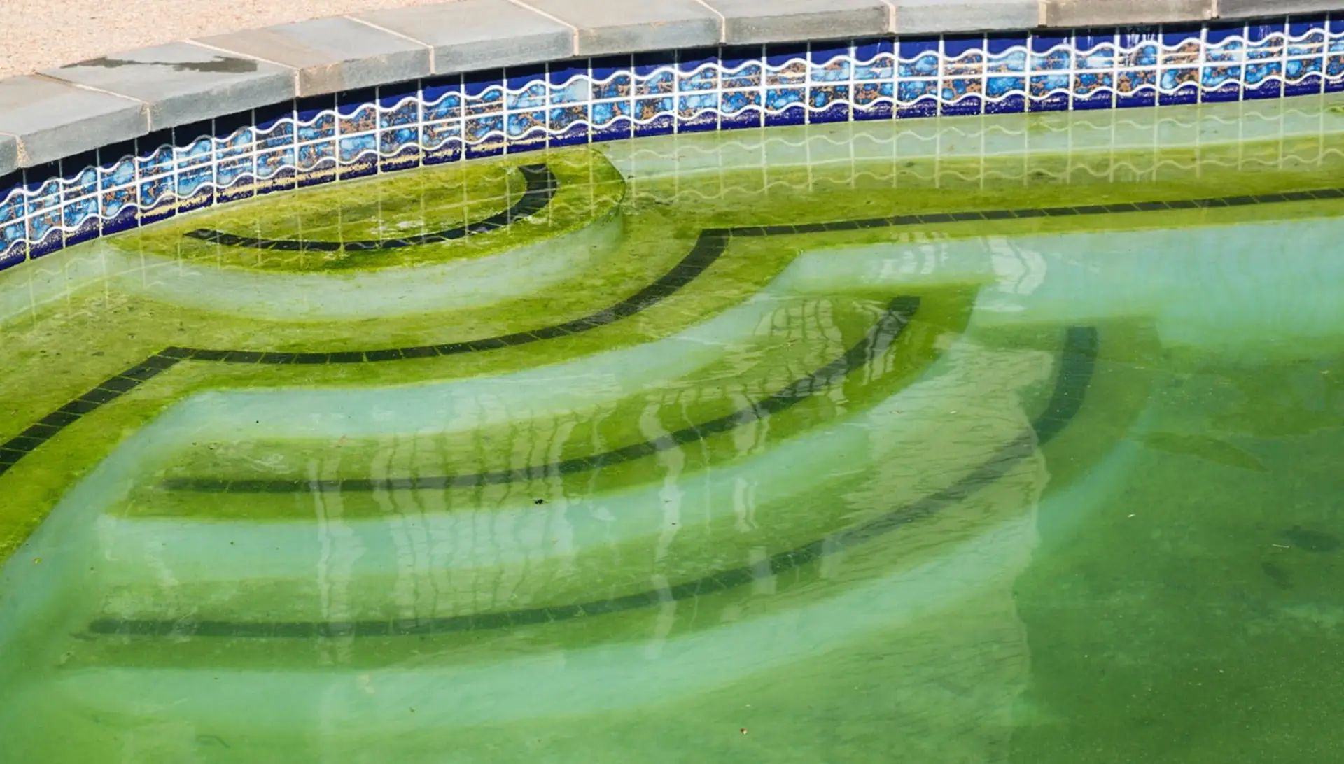 Green algae-covered pool steps before a green-to-clean treatment