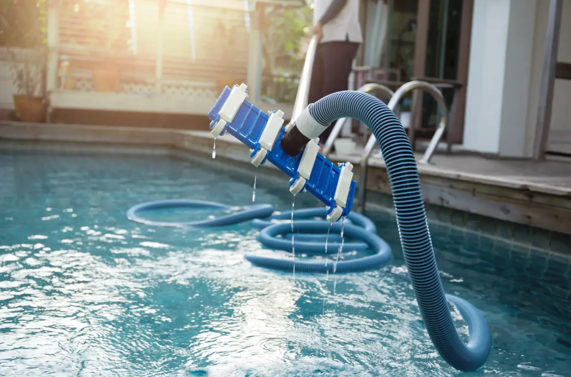 Pool vacuum hose cleaning a clear backyard pool